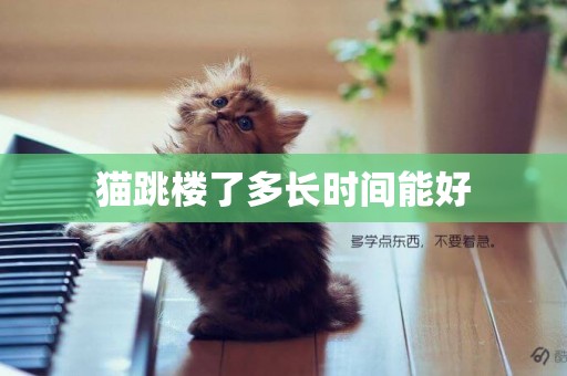 貓跳樓了多長時間能好