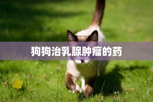 狗狗治乳腺腫瘤的藥