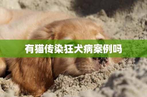 有貓傳染狂犬病案例嗎