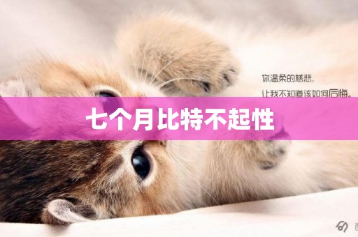 七個月比特不起性