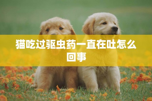 貓吃過驅蟲藥一直在吐怎么回事
