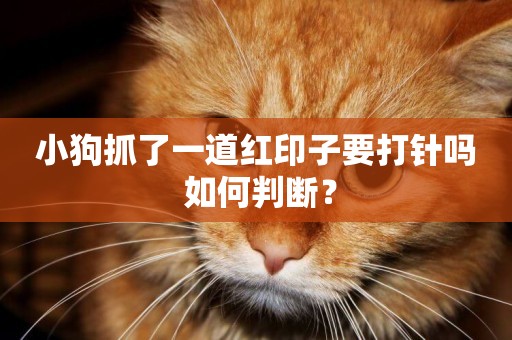 小狗抓了一道紅印子要打針嗎 如何判斷？