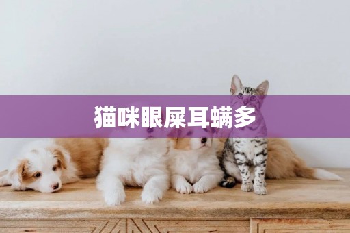 貓咪眼屎耳螨多