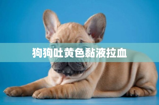 狗狗吐黃色黏液拉血