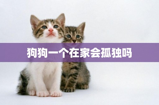 狗狗一個在家會孤獨嗎