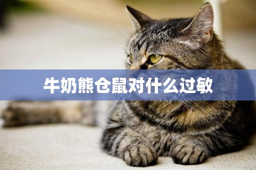 牛奶熊倉鼠對什么過敏