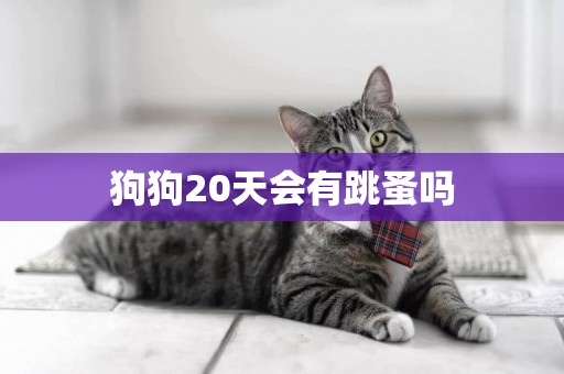 狗狗20天會有跳蚤嗎