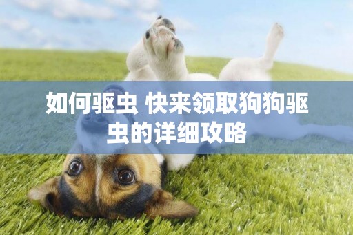 如何驅蟲 快來領取狗狗驅蟲的詳細攻略