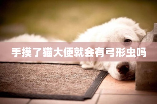 手摸了貓大便就會有弓形蟲嗎