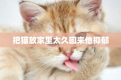 把貓放家里太久回來他抑郁
