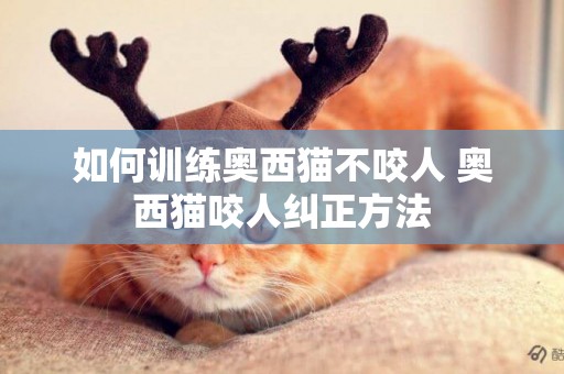 如何訓練奧西貓不咬人 奧西貓咬人糾正方法
