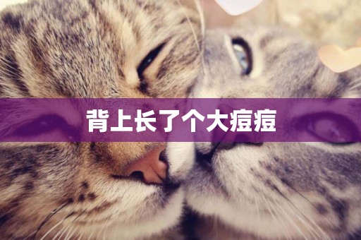 背上長了個大痘痘