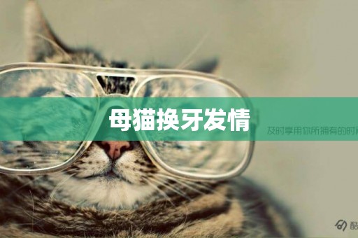 母貓換牙發情