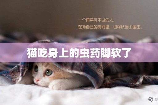 貓吃身上的蟲藥腳軟了