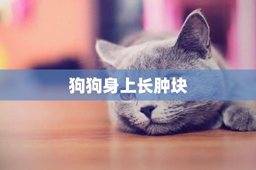 狗狗身上長腫塊