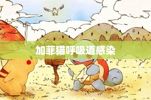 加菲貓呼吸道感染