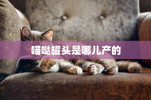 喵噠罐頭是哪兒產的