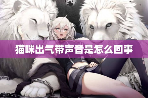 貓咪出氣帶聲音是怎么回事