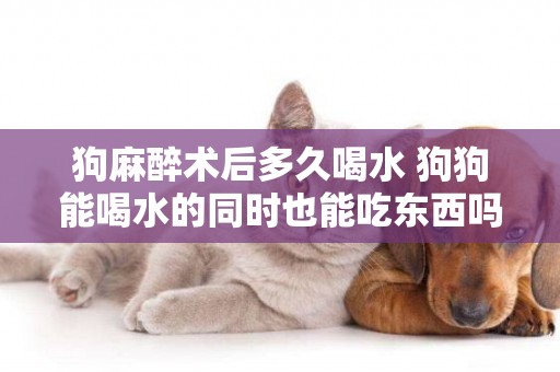 狗麻醉術后多久喝水 狗狗能喝水的同時也能吃東西嗎