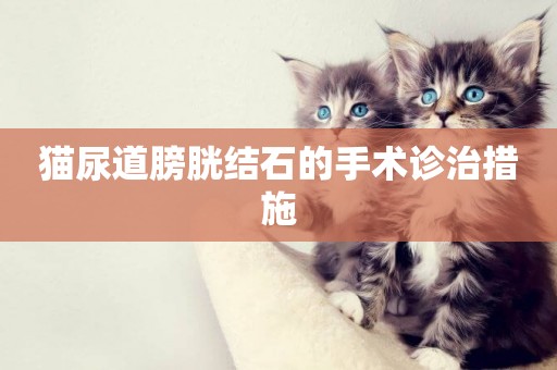 貓尿道膀胱結石的手術診治措施