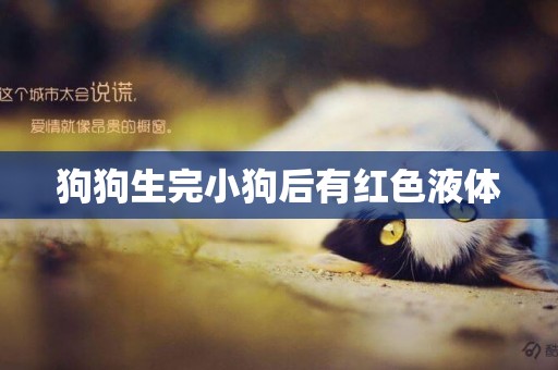 狗狗生完小狗后有紅色液體