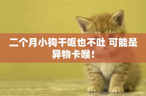 二個月小狗干嘔也不吐 可能是異物卡喉！