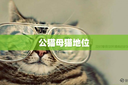 公貓母貓地位