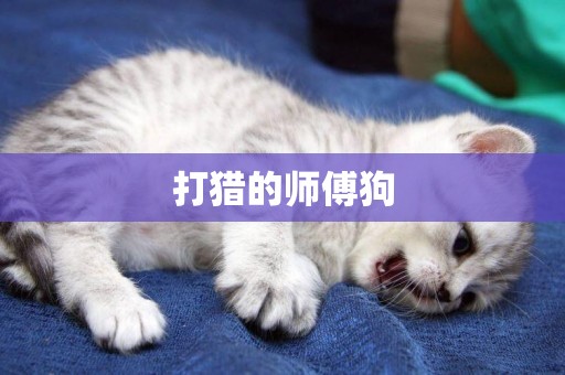 打獵的師傅狗