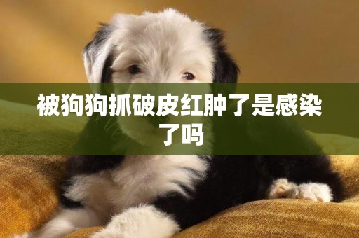 被狗狗抓破皮紅腫了是感染了嗎