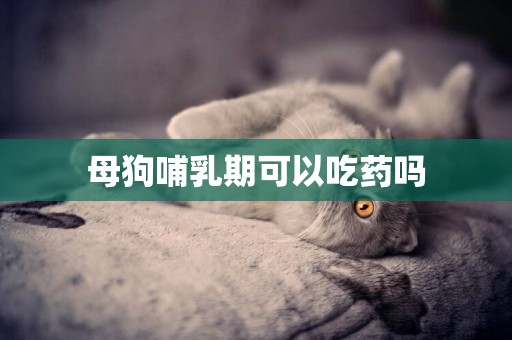 母狗哺乳期可以吃藥嗎