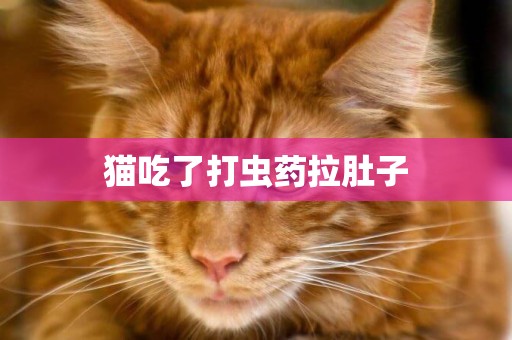 貓吃了打蟲藥拉肚子