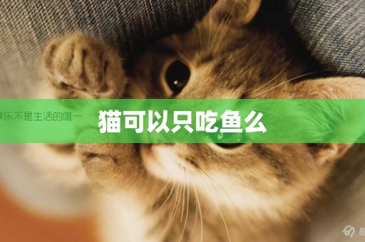 貓可以只吃魚么