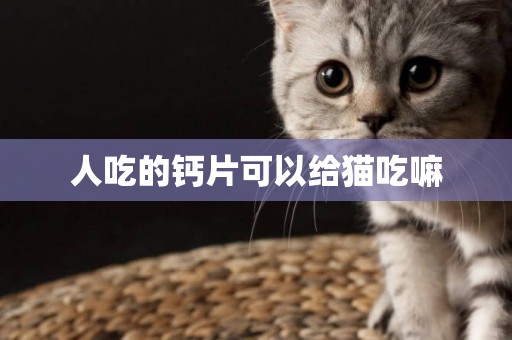人吃的鈣片可以給貓吃嘛