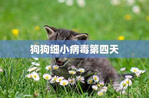 狗狗細小病毒第四天