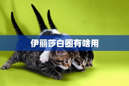伊麗莎白圈有啥用