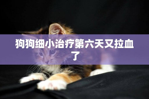 狗狗細小治療第六天又拉血了