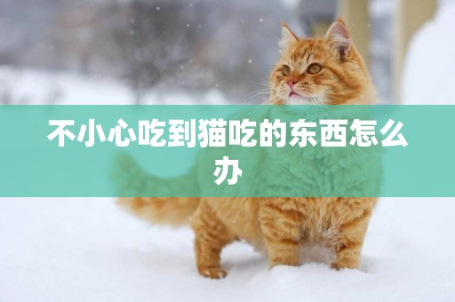 不小心吃到貓吃的東西怎么辦