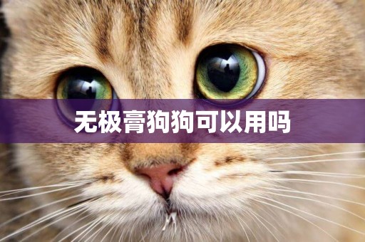 無極膏狗狗可以用嗎