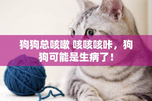 狗狗總咳嗽 咳咳咳咔，狗狗可能是生病了！