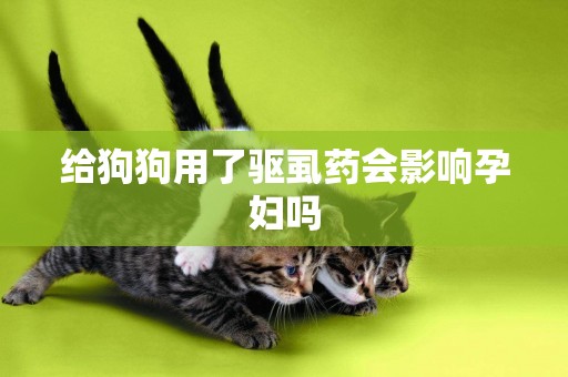 給狗狗用了驅虱藥會影響孕婦嗎