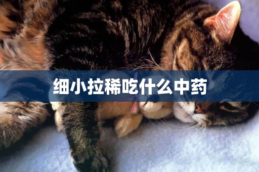 細小拉稀吃什么中藥