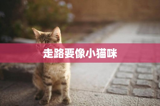 走路要像小貓咪