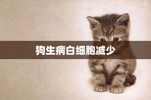 狗生病白細胞減少