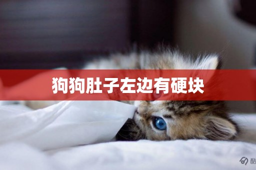 狗狗肚子左邊有硬塊