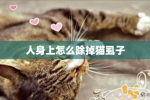 人身上怎么除掉貓虱子