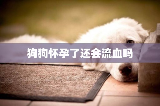 狗狗懷孕了還會流血嗎