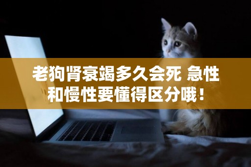 老狗腎衰竭多久會死 急性和慢性要懂得區分哦！