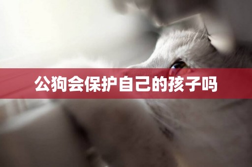 公狗會保護自己的孩子嗎