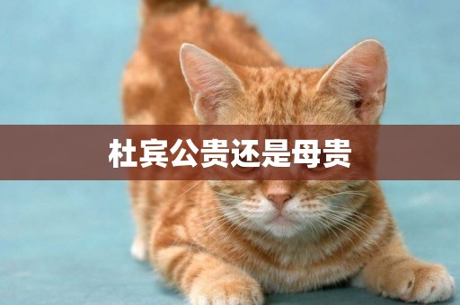 杜賓公貴還是母貴