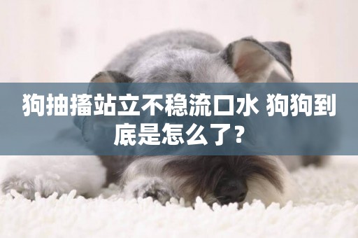 狗抽搐站立不穩流口水 狗狗到底是怎么了？